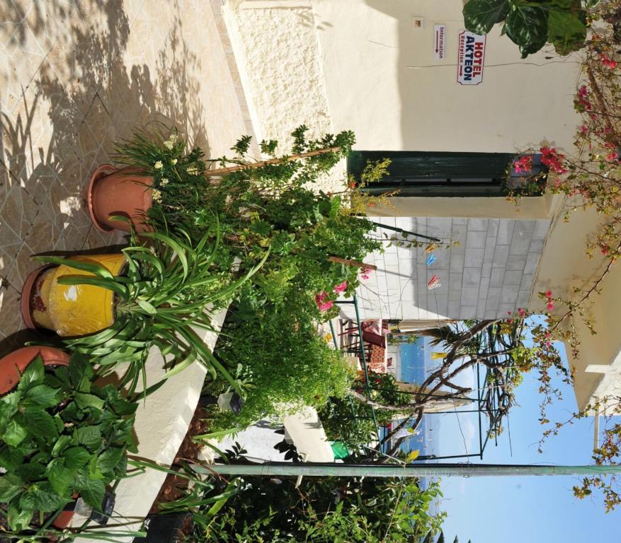 Apartmán Akteon Agia Galini